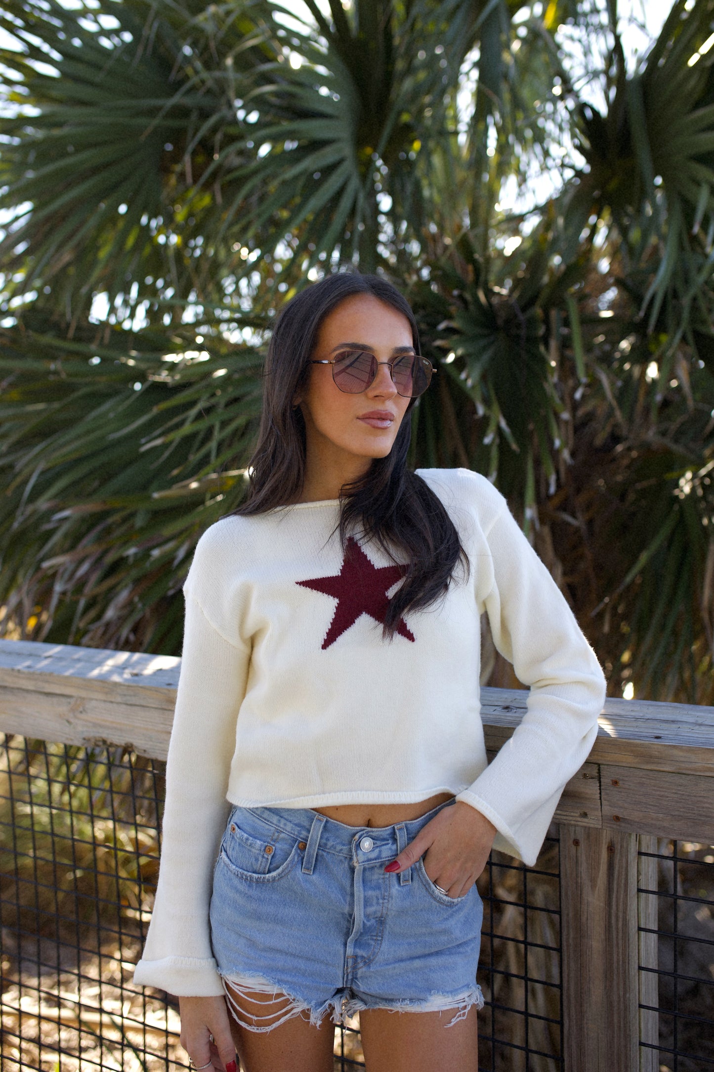 Star Knit Top